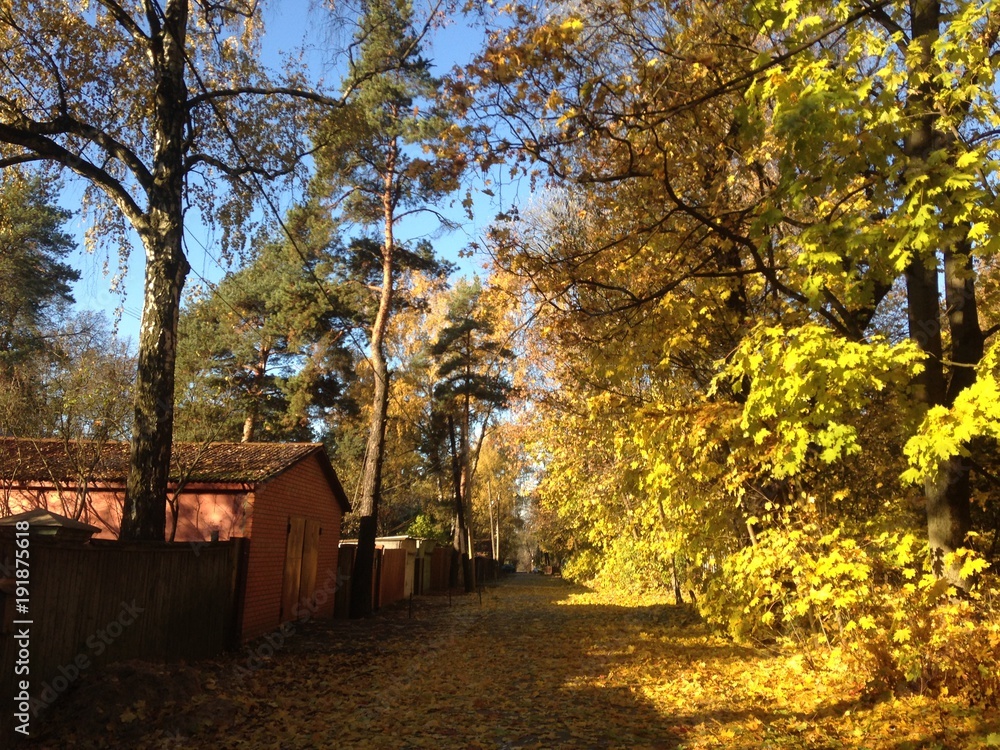 Fototapeta premium Russian autumn