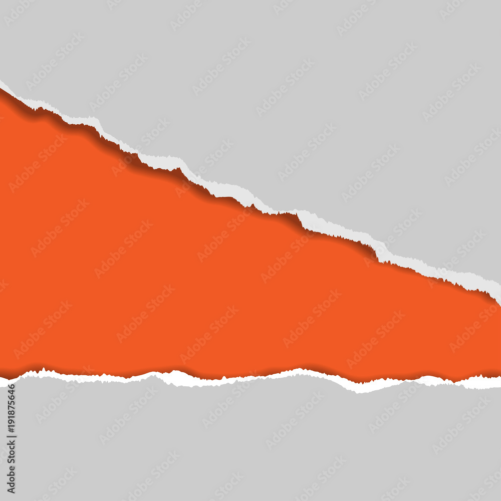 Ripped paper. Vector of ripped paper. the paper was ripped background. Ripped paper. Vector of ripped paper. the paper was ripped background.