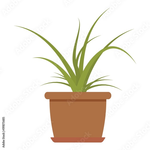 House plant icon, flat style