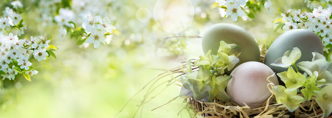 Easter eggs in spring