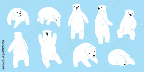 Bear vector Polar Bear logo icon doodle illustration character cartoon