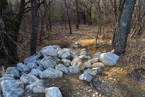 A pile of stones in the Texas forest on a sunny evening in February