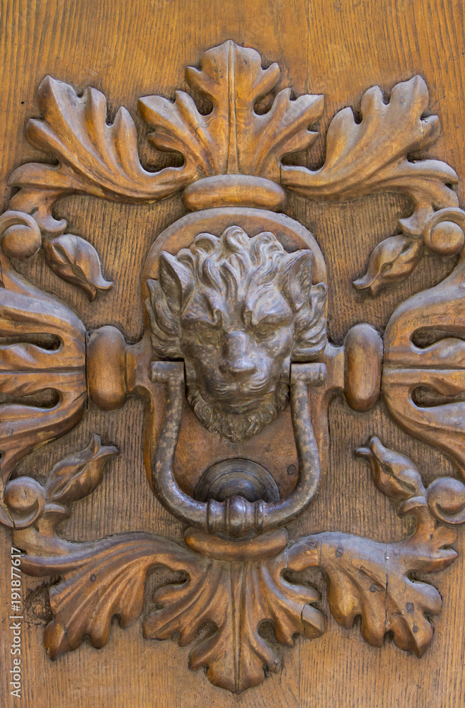 Detail of the vintage door knocker
