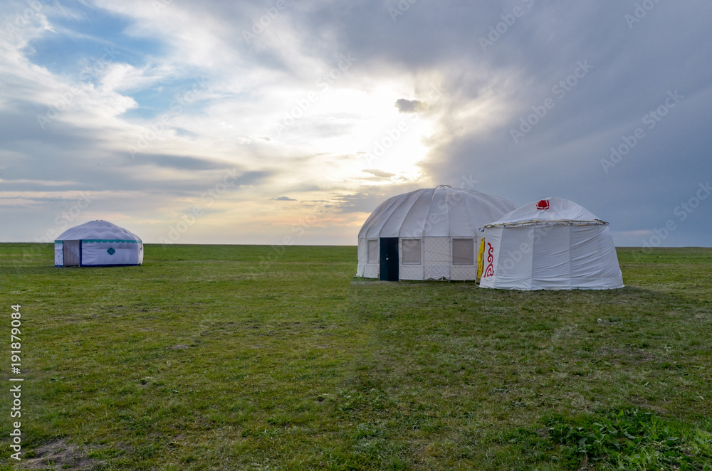 traditional Kalmyk (Mongol) yurts in green spring steppe at sunset Manych-Gudilo, Kalmykia