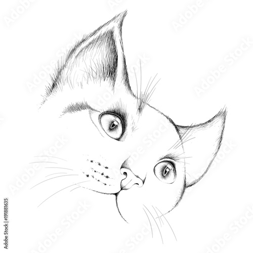 The Vector logo cat for T-shirt design or print on outwear.  Tattoo cats style background.