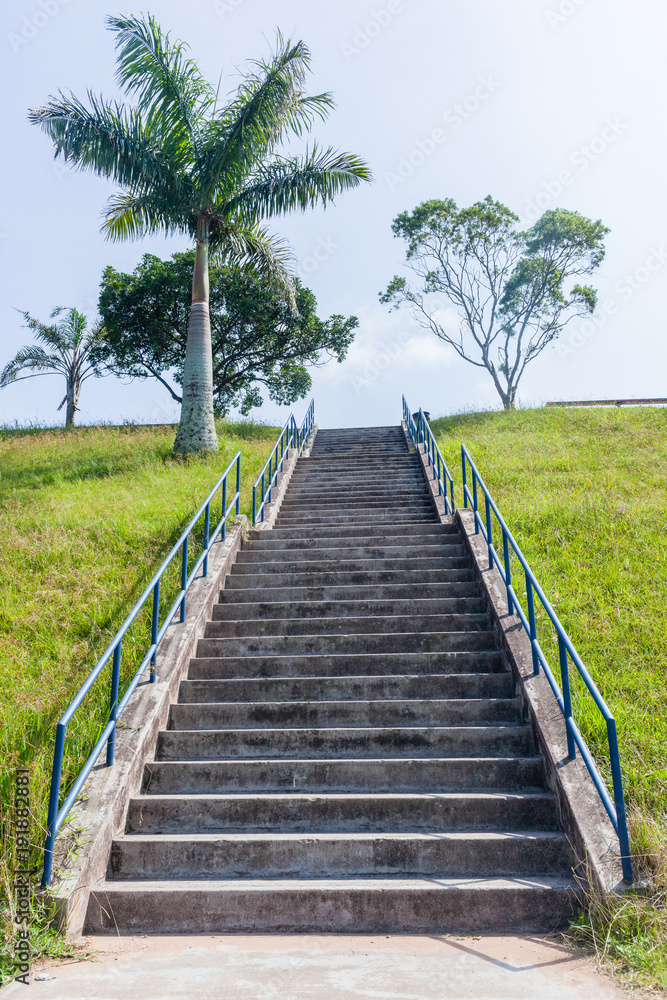 Steps Staircase Hillside