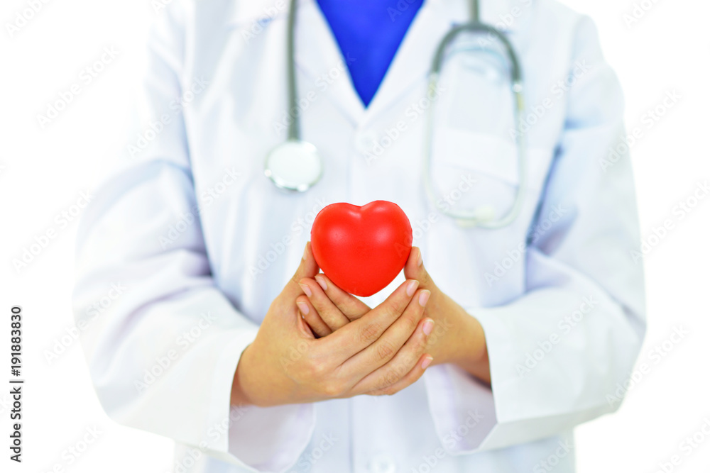 Doctor holding heart in hands, heart care concept
Doctor holding heart in hands, heart care concept