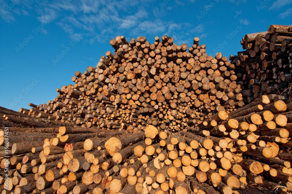 Log pile, Saguenay