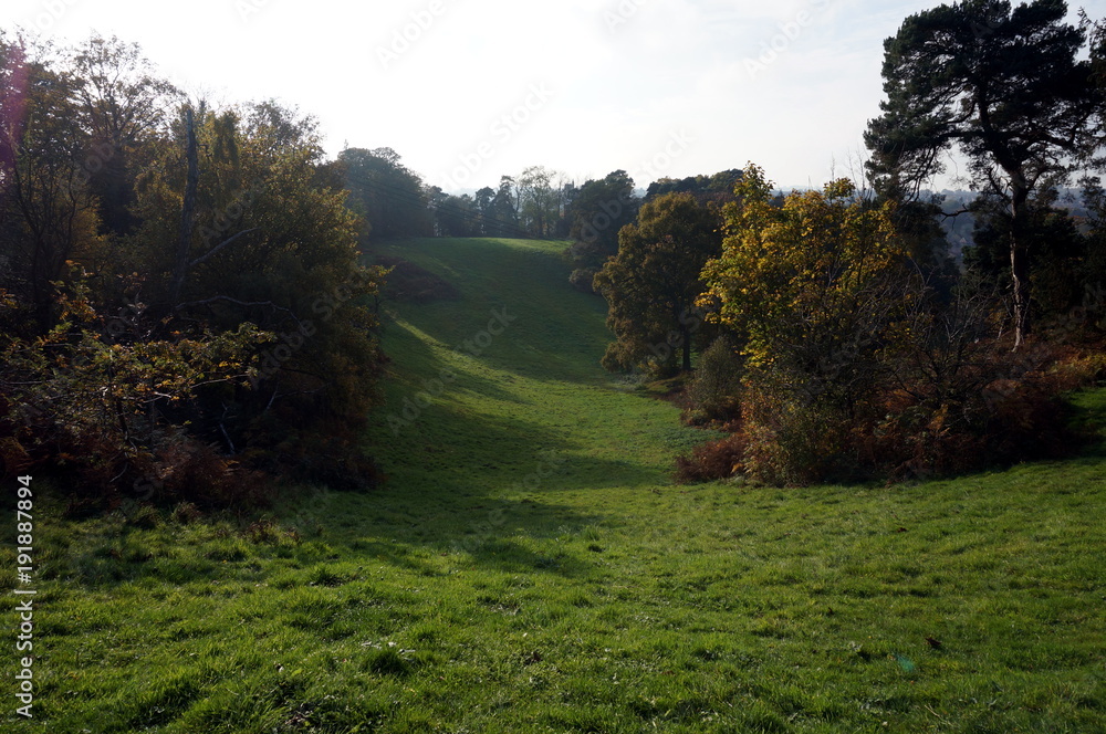 Obraz premium Autumnal Rolling Hillside