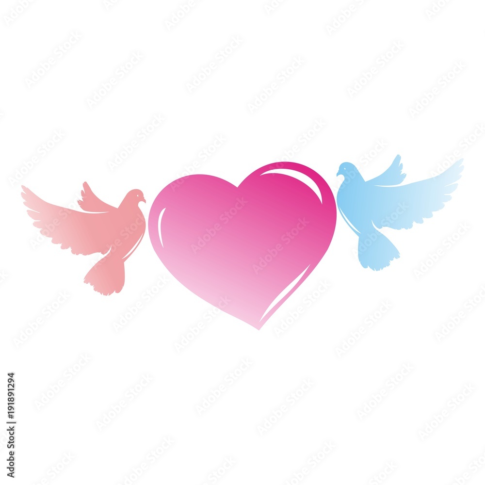 Obraz premium голуби влюбленные