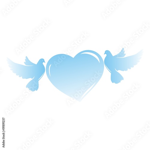 голуби и любовь