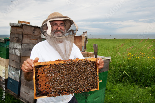 Happy beekeeper photo
