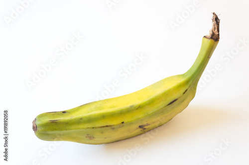 View looking down on half ripe Burro banana, also Orinoco, Bluggoe, Horse, Hog or Largo banana, isolated on white, horizontal aspect