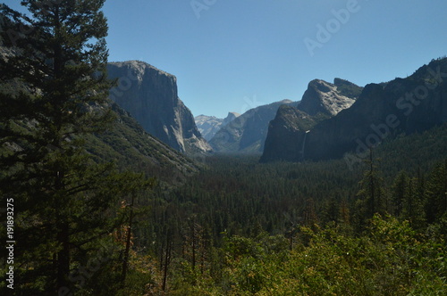 Wonderful Views Of A Forest From The Highest Part Of One Of The Mountains Of Yosemite National Park. Nature Travel Holidays. June 29, 2017. Yosemite National Park. Mariposa California. USA. EEUU.