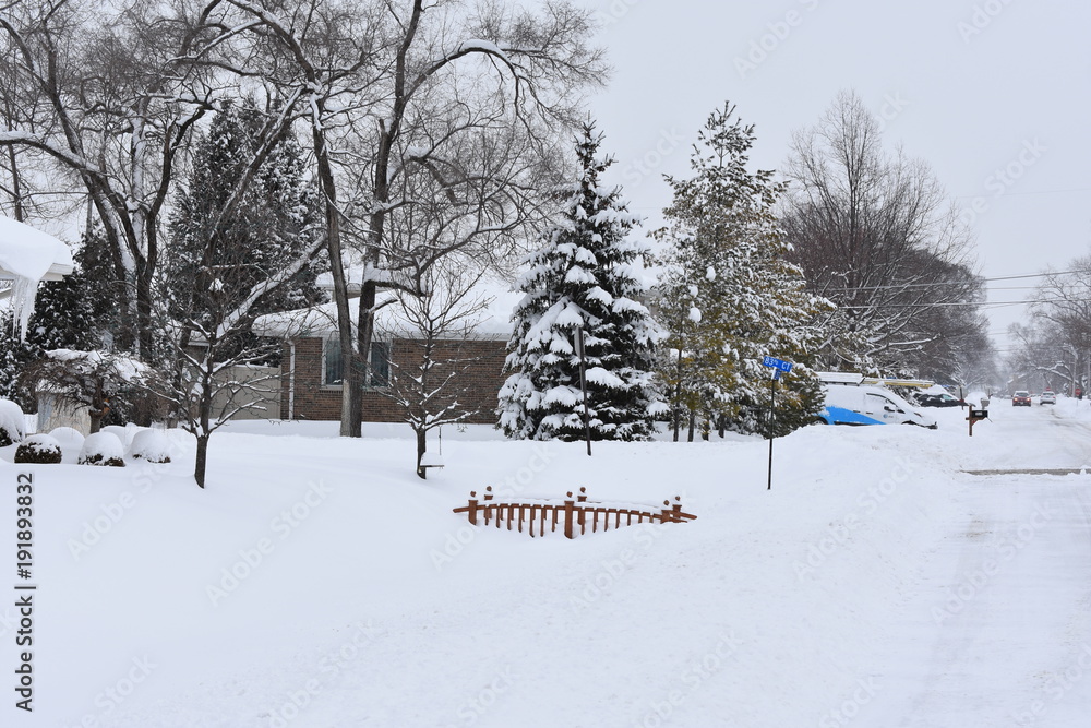 Fototapeta premium peaceful