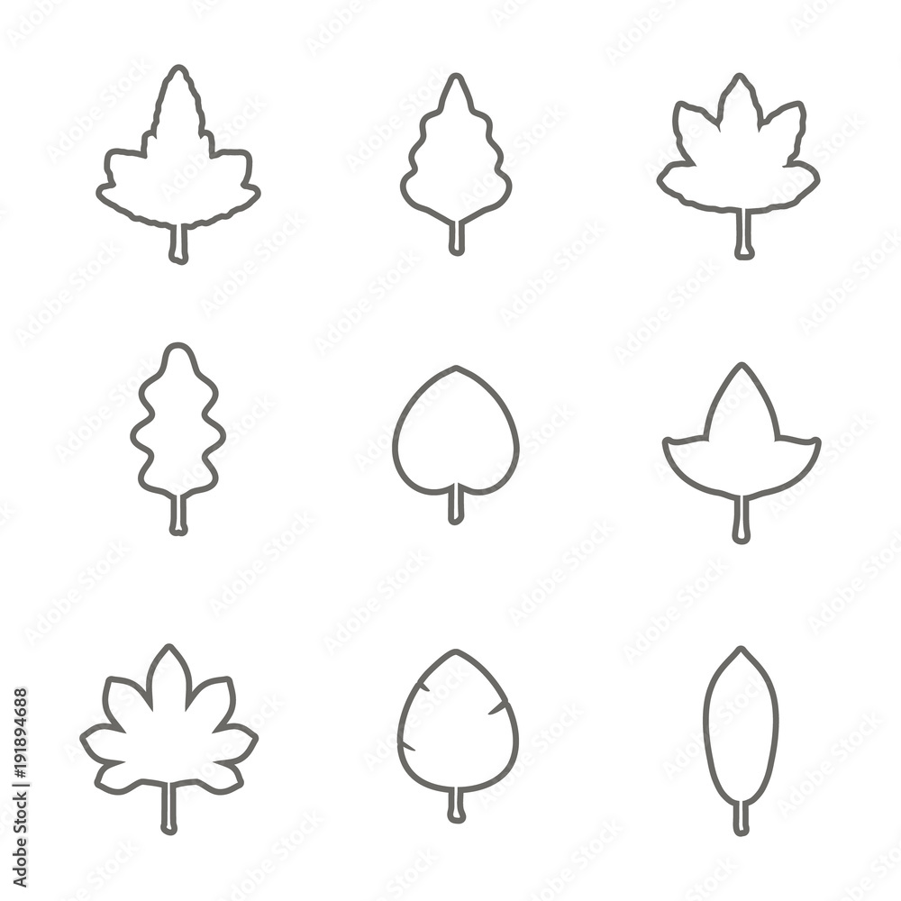 monochrome icons set with leafs for your design