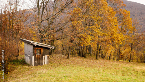 Little wooden shed on Meadow during autumn
