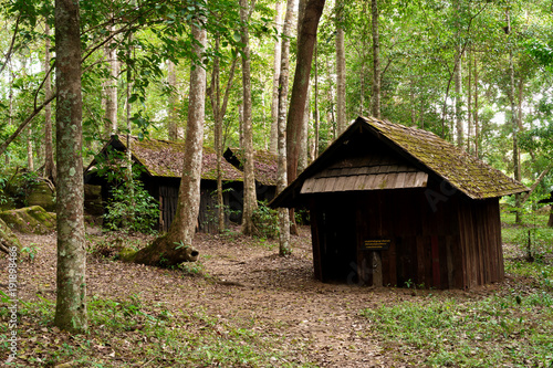 Wooden house in the forest © Naypong Studio