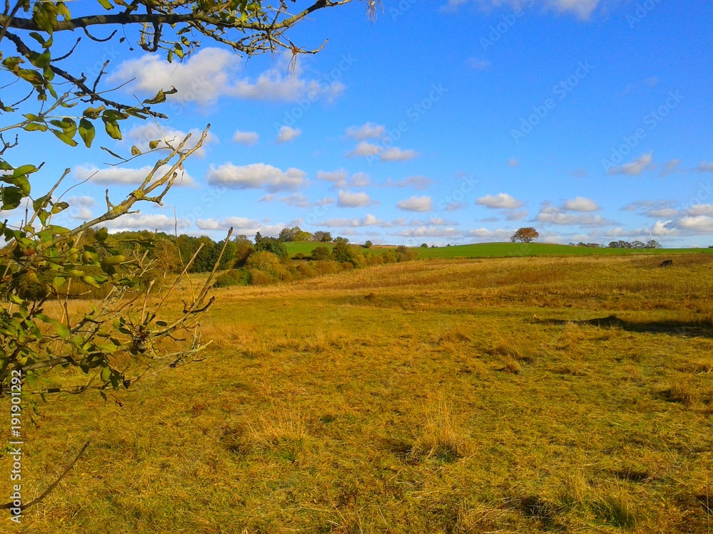 Fototapeta premium sommerliche Landschaft