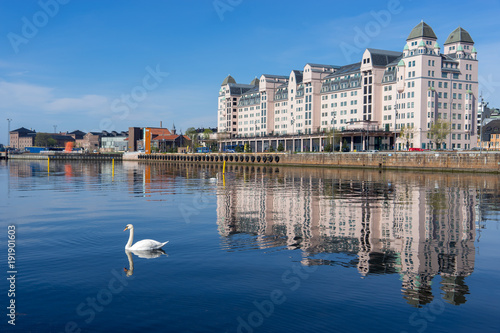 a swan swiming the sea with cityscape of oslo  photo