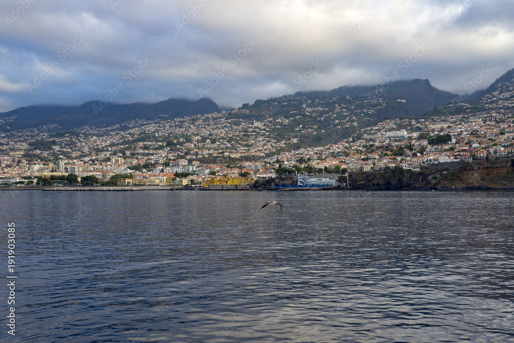 Funchal View, Madeira