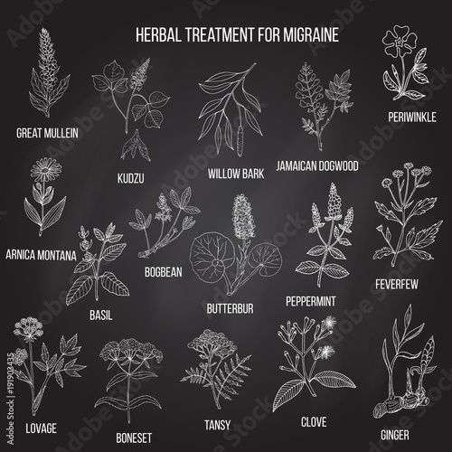 Collection of medicinal herbs for migraines relief.