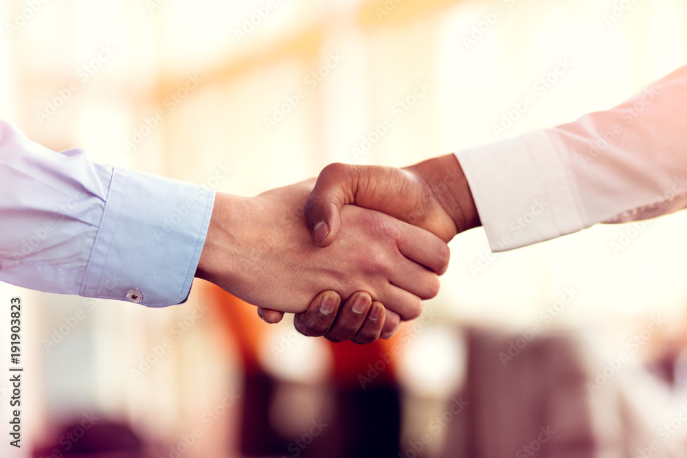 Closeup of White and Black shaking hands over a deal Closeup of White and Black shaking hands over a deal