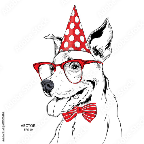 Hand draw dog in a celebratory cap. Vector illustration
