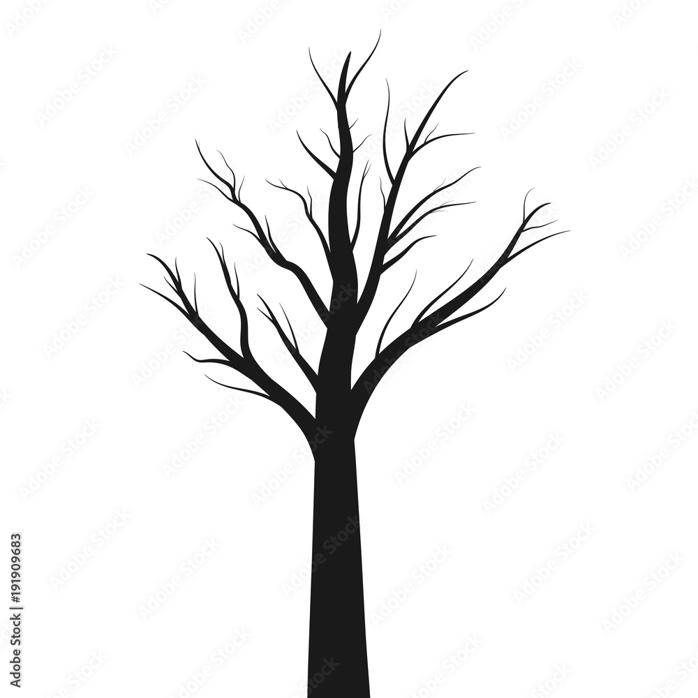 Dry Tree Silhouette Dry Tree Silhouette