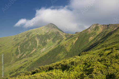 Summer landscape view in the Ukrainian Carpathian mountains