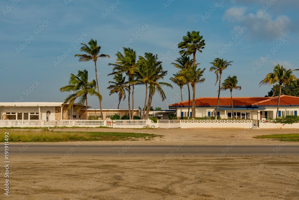 extraordinary sunset on the caribbean with palm trees and white beaches extraordinary sunset on the caribbean with palm trees and white beaches