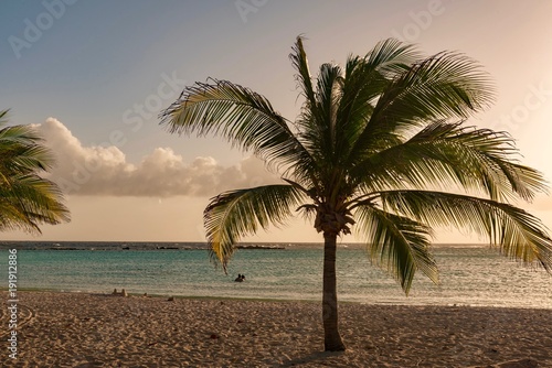 Fototapeta Naklejka Na Ścianę i Meble -  extraordinary sunset on the caribbean with palm trees and white beaches