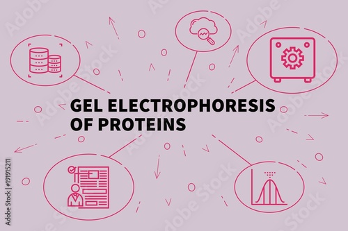 Conceptual business illustration with the words gel electrophoresis of proteins