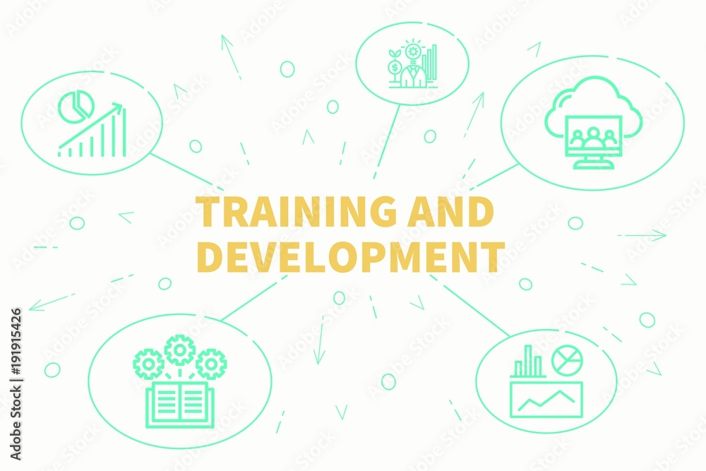 Conceptual business illustration with the words training and development