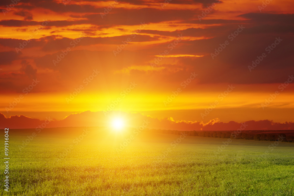 Scenic landscape of sunrise over green wheat field. Scenic landscape of sunrise over green wheat field.