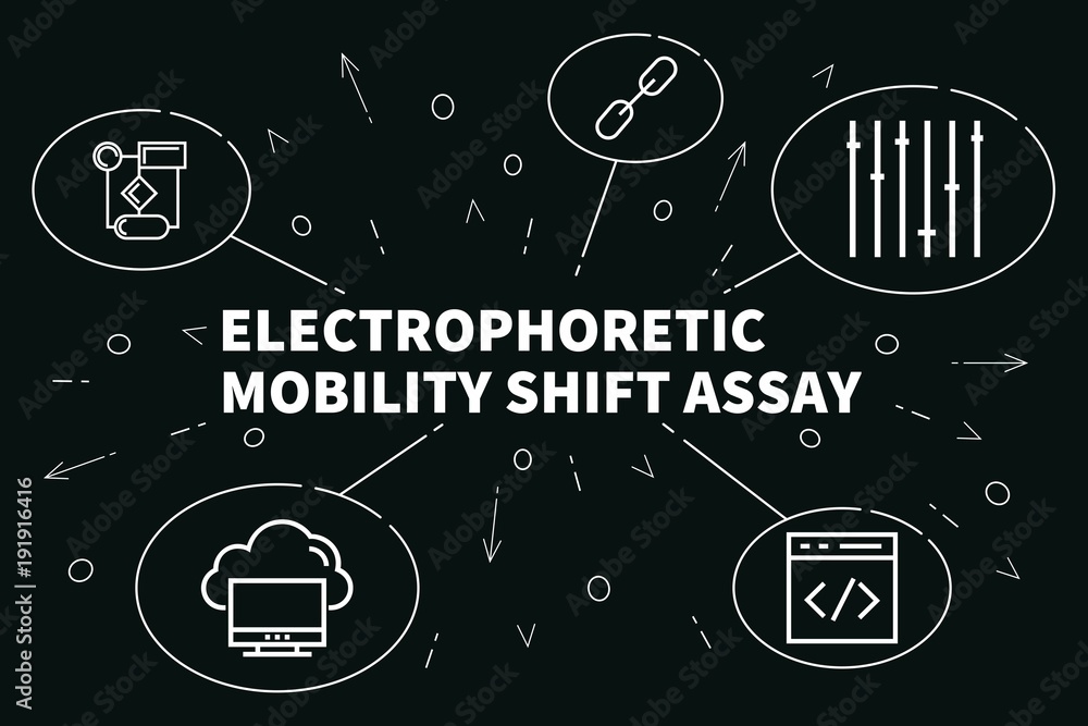 Ταπετσαρία Conceptual business illustration with the words electrophoretic mobility shift a