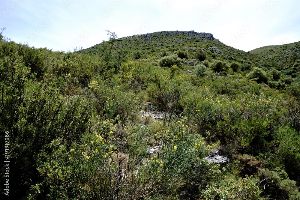 View to a mountain peak in the Sierra del Penon