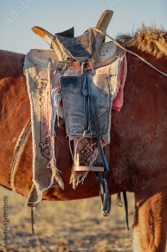 Traditional saddle on a Mongolian horse outside a nomad's ger tent