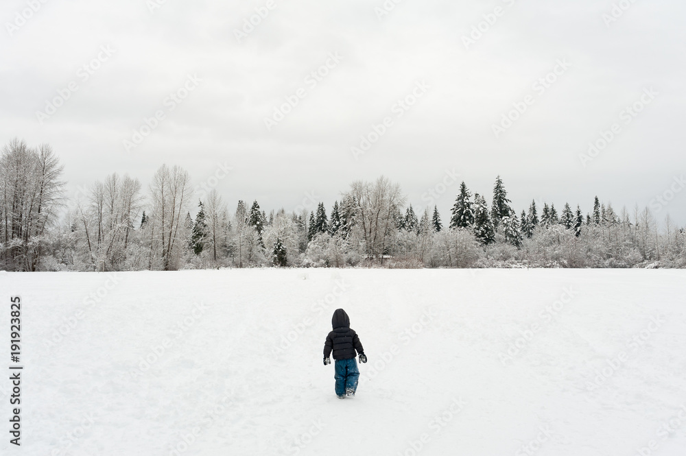 View from behind of a young child walking through a snowy field towards a group of trees in winter View from behind of a young child walking through a snowy field towards a group of trees in winter