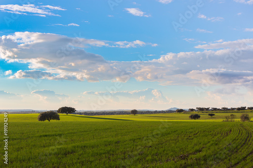Fields of the Dehesa de Extremadura with its farmland