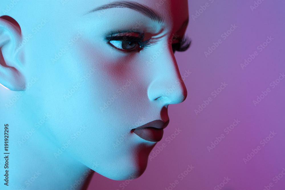 The head of the dummy. Mannequin in profile. The head of a woman. Plastic head of a woman. The head of the dummy. Mannequin in profile. The head of a woman. Plastic head of a woman.