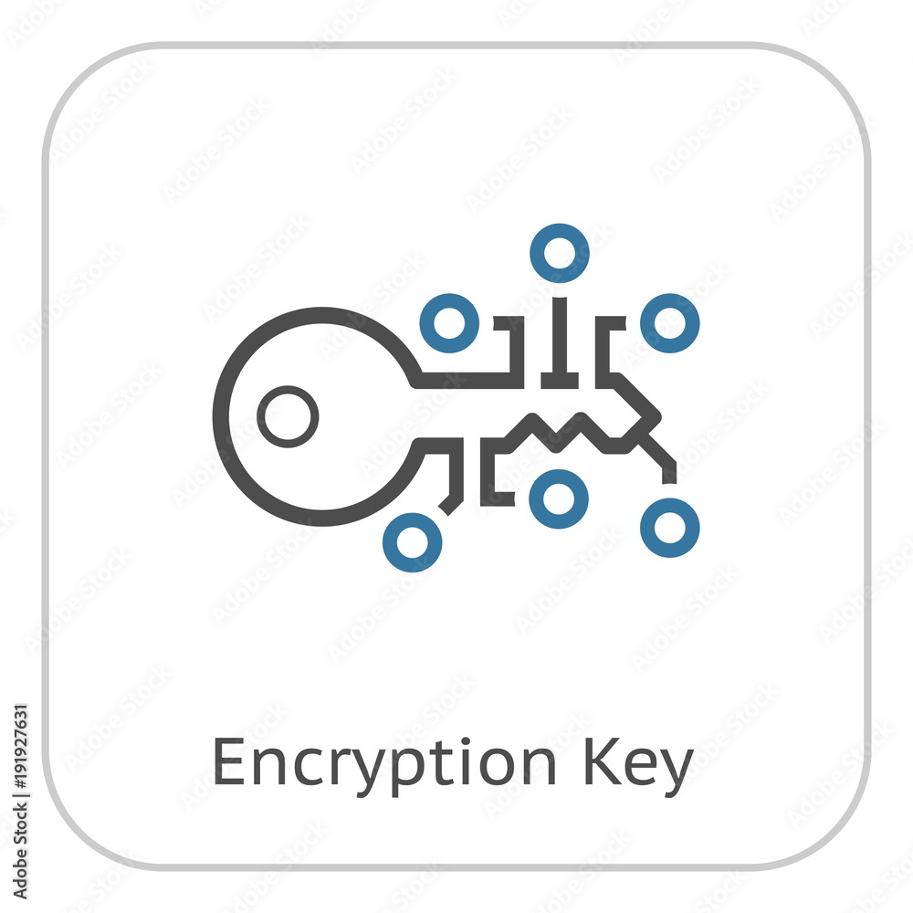 Encryption Key Icon.