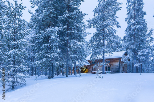 Travel Destinations Concepts and Ideas. Distant Illuminated Wooden House With Christms Tree At The Door Located in Tranquil Picturesque Nordic Forest in Scandinavia. © danmorgan12