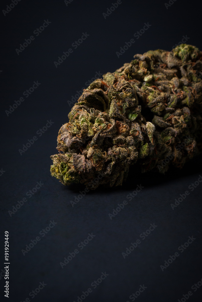 Cannabis Nug - Strain: Buddha's Tooth Cannabis Nug - Strain: Buddha's Tooth
