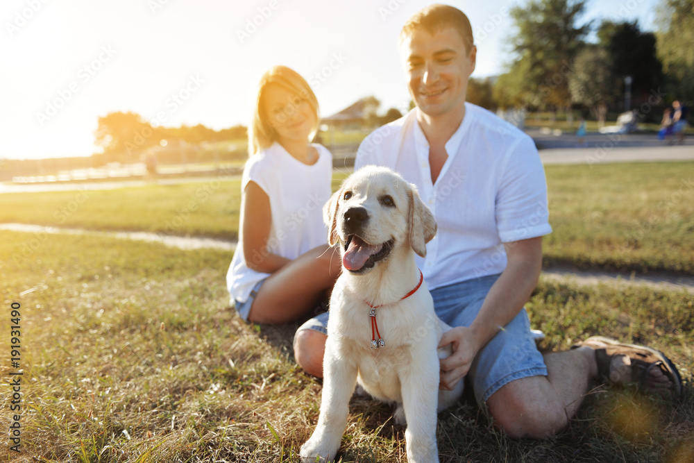 woman with a man playing with a labrador puppy in a park on the grass in the spring. woman with a man playing with a labrador puppy in a park on the grass in the spring.