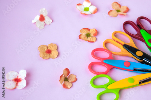 Multicolored scissors and flowers on a pink background