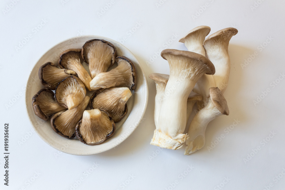 Collection of Pleurotus ostreatus Oyster Mushrooms and Pleurotus