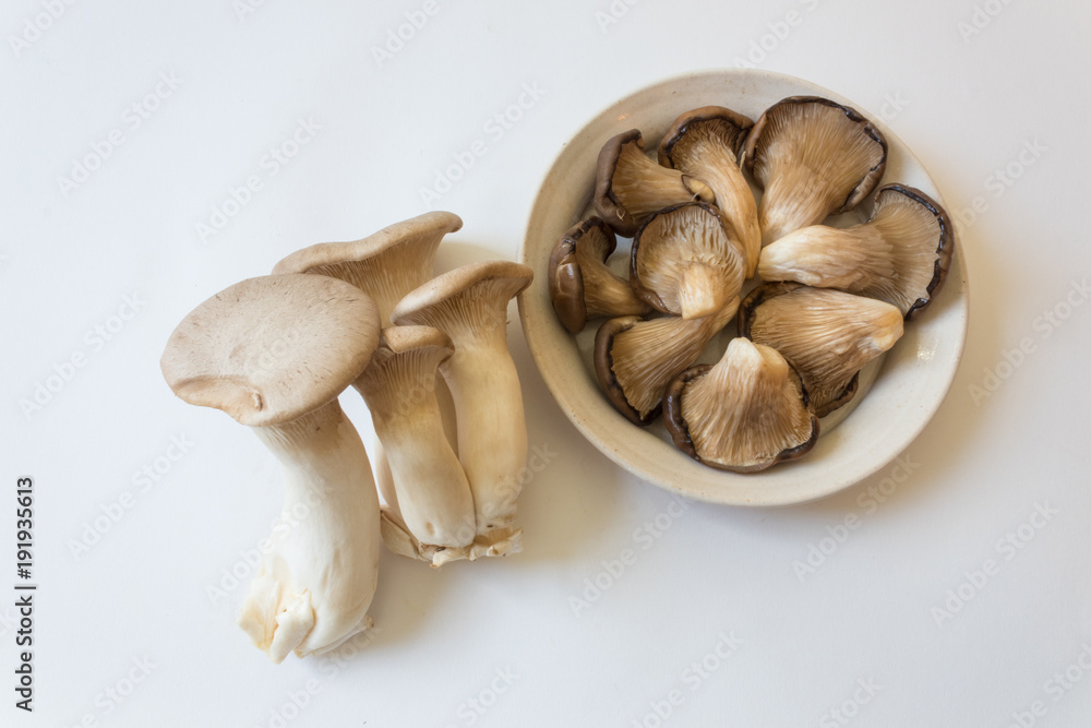 Shallow dish of Pleurotus ostreatus Oyster Mushrooms and Pleurotus eryngii King Trumpet Mushrooms, isolated on white, centered, food ingredient, horizontal aspect Shallow dish of Pleurotus ostreatus Oyster Mushrooms and Pleurotus eryngii King Trumpet Mushrooms, isolated on white, centered, food ingredient, horizontal aspect