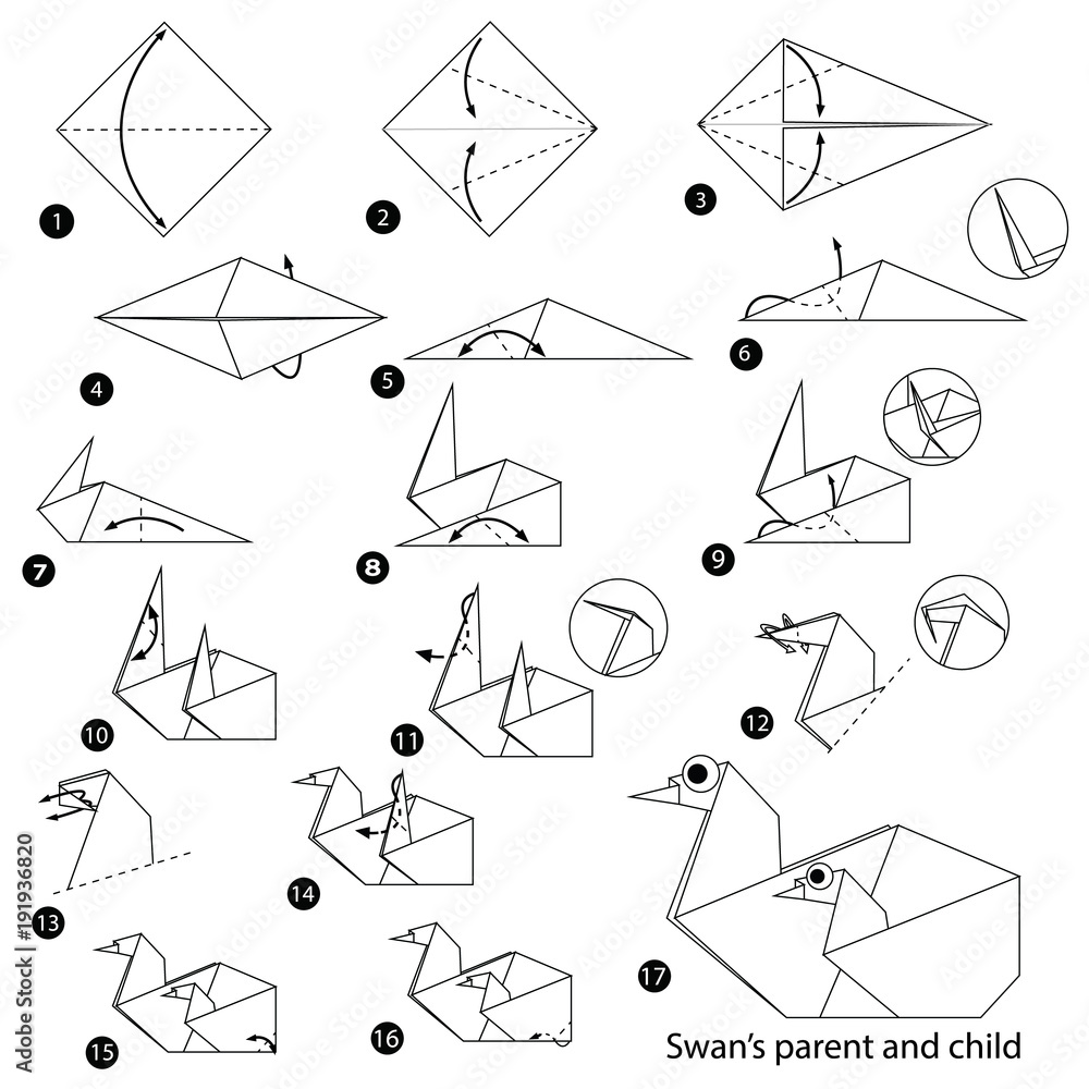 step by step instructions how to make origami A Swan Parent And Child Stock  Vector | Adobe Stock