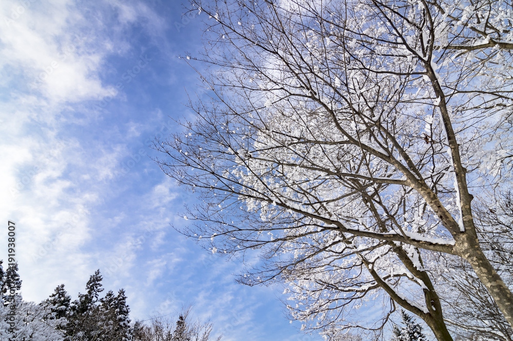 青空と冬景色